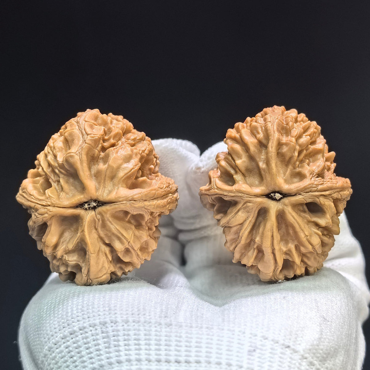 "Dagu Stone" Dagu Shi DGS-1601 Tall-Profile Wenwan Walnuts Pair | 39.0mm x 45.0mm | DGS-1601 - ThePatinaProject