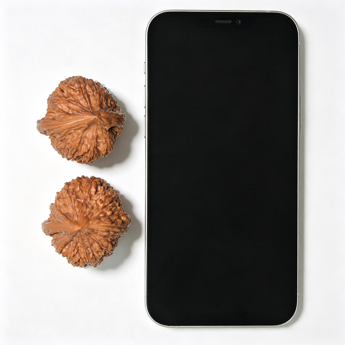Dagu Stone Wenwan Walnut Pair – Compact High-Crowned Form | 38.0mm × 40.0mm | DGS-1102 - ThePatinaProject