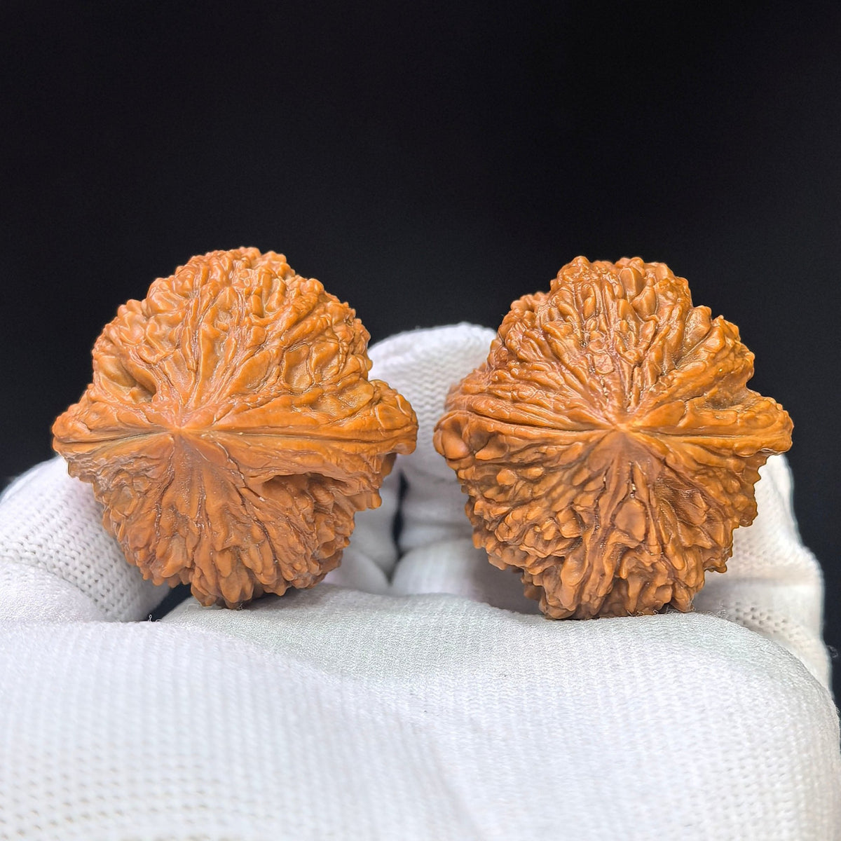 Dagu Stone Wenwan Walnut Pair – Compact High-Crowned Form | 38.0mm × 40.0mm | DGS-1102 - ThePatinaProject