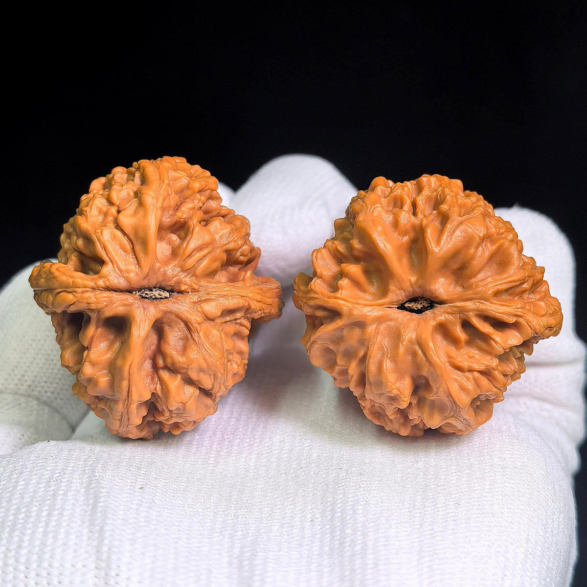 Dagu Stone Wenwan Walnuts Pair | Deep Natural Texture | 38.0mm × 40.0mm | DGS-CWC2E - ThePatinaProject
