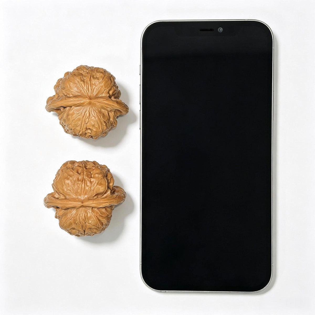 “Damo” Rounded Wenwan Walnut Pair | 43.0mm × 40.0mm | DM-1102 - ThePatinaProject