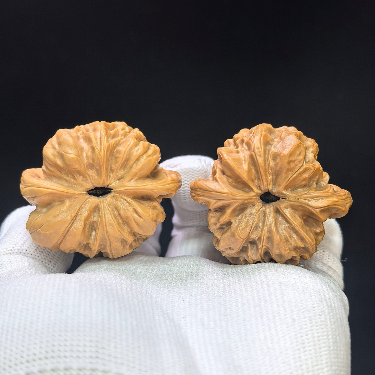 “Damo” Rounded Wenwan Walnut Pair | 43.0mm × 40.0mm | DM-1102 - ThePatinaProject