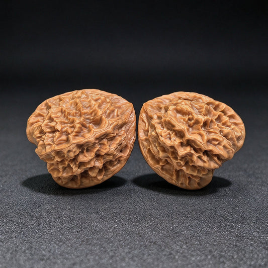 Dragon Scale “Tian Can Jiao” Wenwan Walnut Pair – Sculptural Irregular Form | 41.0mm × 41.0mm | LL-C1E2E - ThePatinaProject