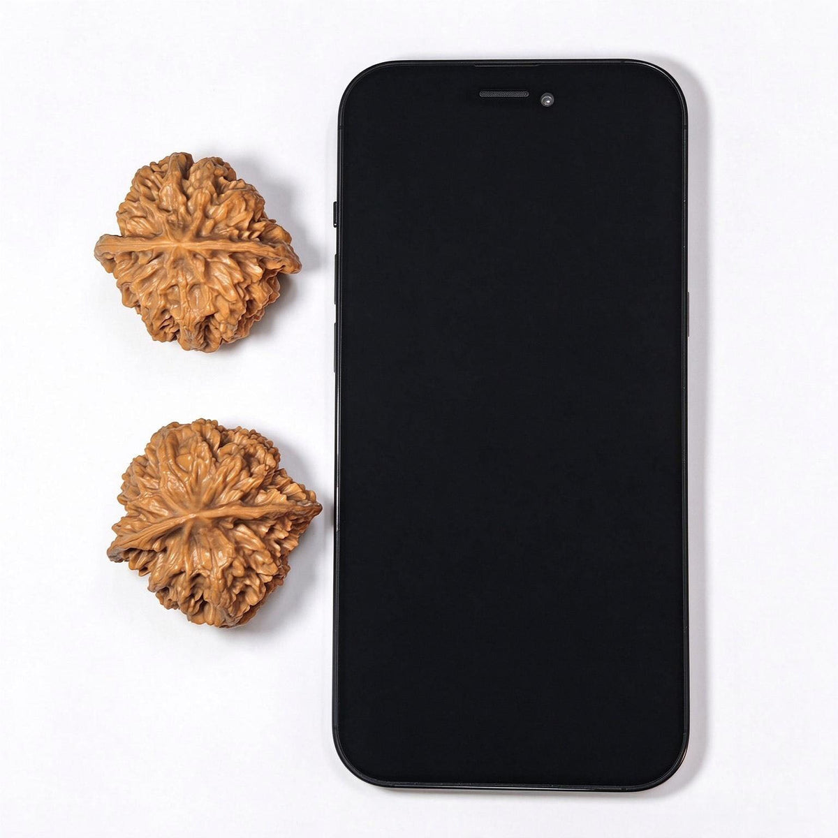 Dragon Scale “Tian Can Jiao” Wenwan Walnut Pair – Sculptural Irregular Form | 41.0mm × 41.0mm | LL-C1E2E - ThePatinaProject