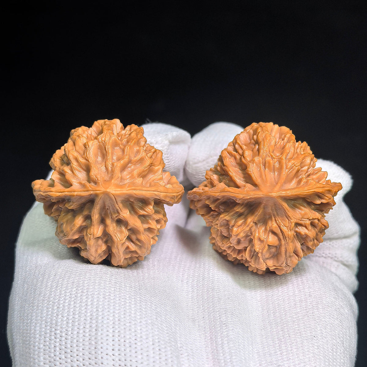 Dragon Scale “Tian Can Jiao” Wenwan Walnut Pair – Sculptural Irregular Form | 41.0mm × 41.0mm | LL-C1E2E - ThePatinaProject