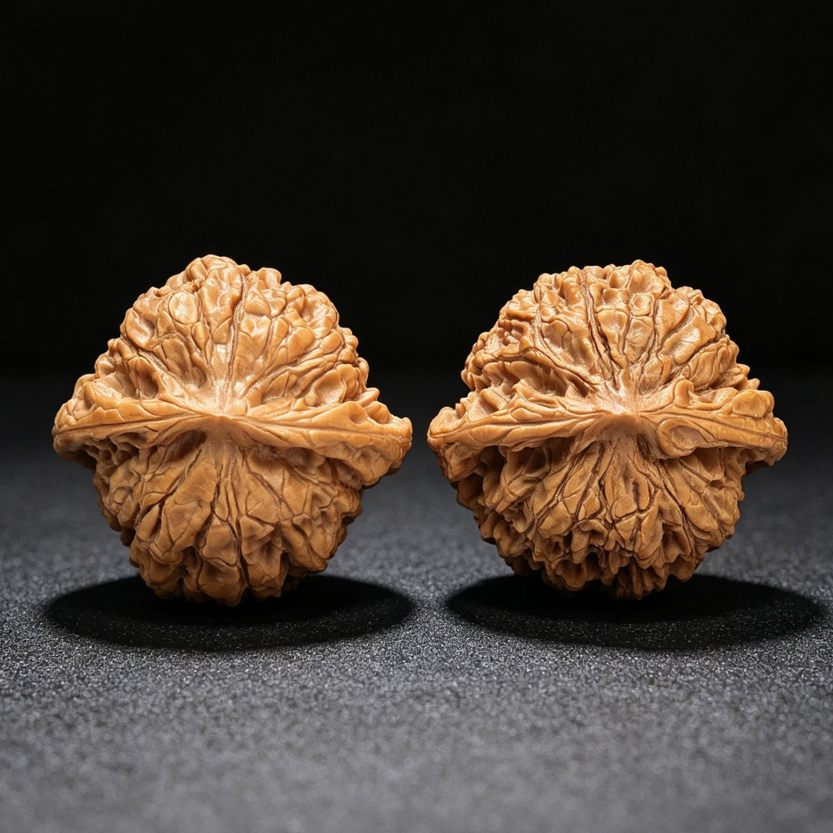 "Dragon Tripod Low Profile" Longding Aizhuang Wenwan Walnuts Pair | 55.0mm x 50.0mm | LD-1552C - ThePatinaProject