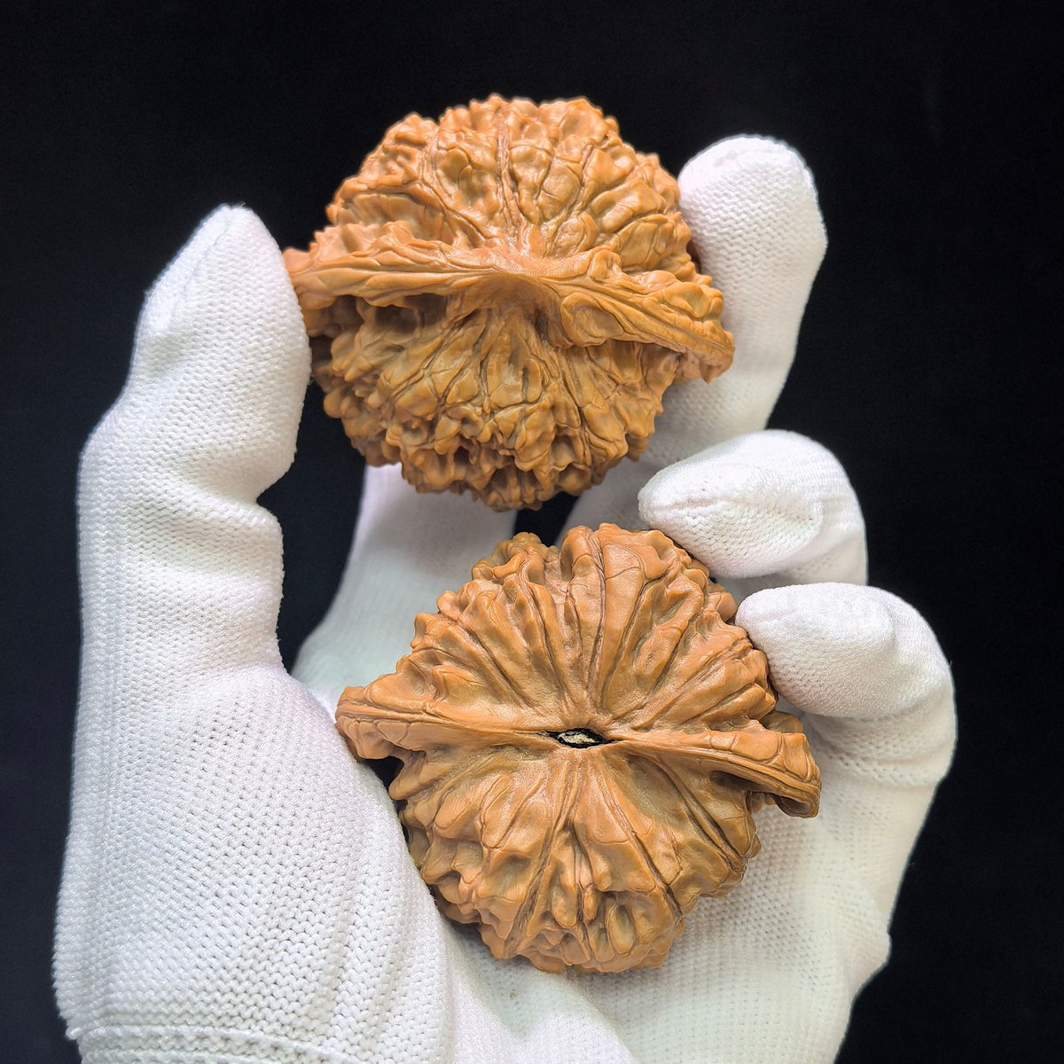"Dragon Tripod Low Profile" Longding Aizhuang Wenwan Walnuts Pair | 55.0mm x 50.0mm | LD-1552C - ThePatinaProject