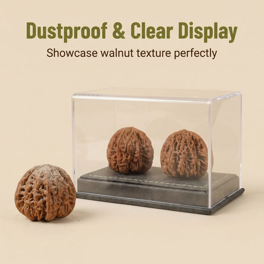 Dustproof Dual Walnut Showcase with Grey Suede Base – High-Clarity Acrylic - ThePatinaProject