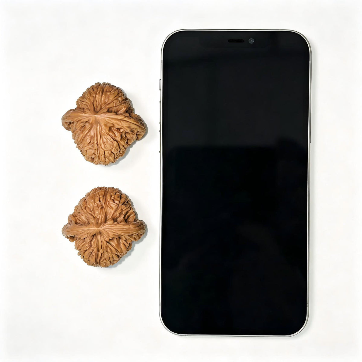 Eagle-Beak Concave-Base Nanjiang Stone Wenwan Walnut Pair — 39.0mm x 38.0mm | YMBDNJS-17E1 - ThePatinaProject