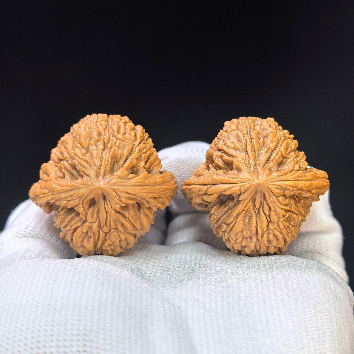Eagle-Beak Concave-Base Nanjiang Stone Wenwan Walnut Pair — 39.0mm x 38.0mm | YMBDNJS-17E1 - ThePatinaProject