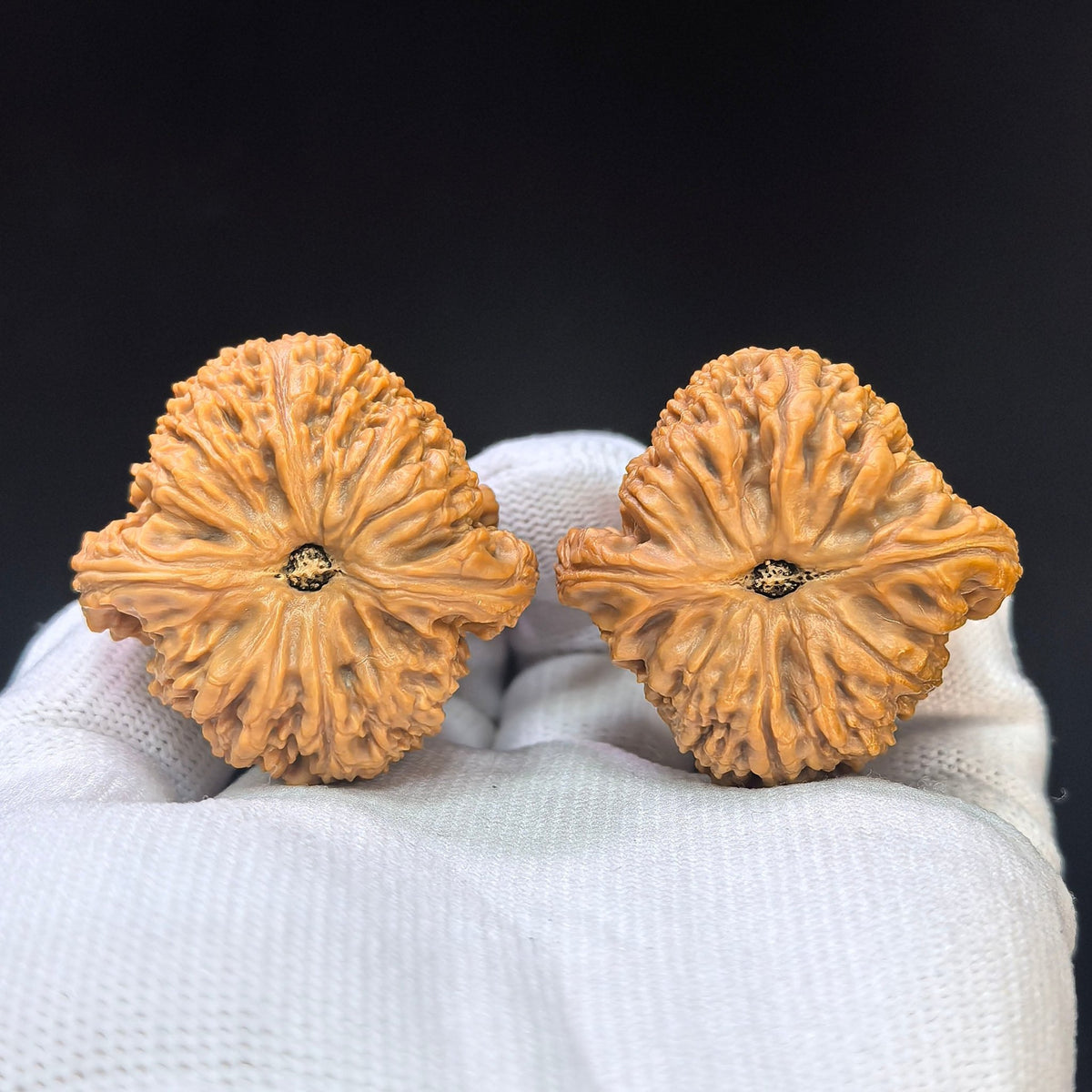 Eagle-Beak Concave-Base Nanjiang Stone Wenwan Walnut Pair — 39.0mm x 38.0mm | YMBDNJS-17E1 - ThePatinaProject