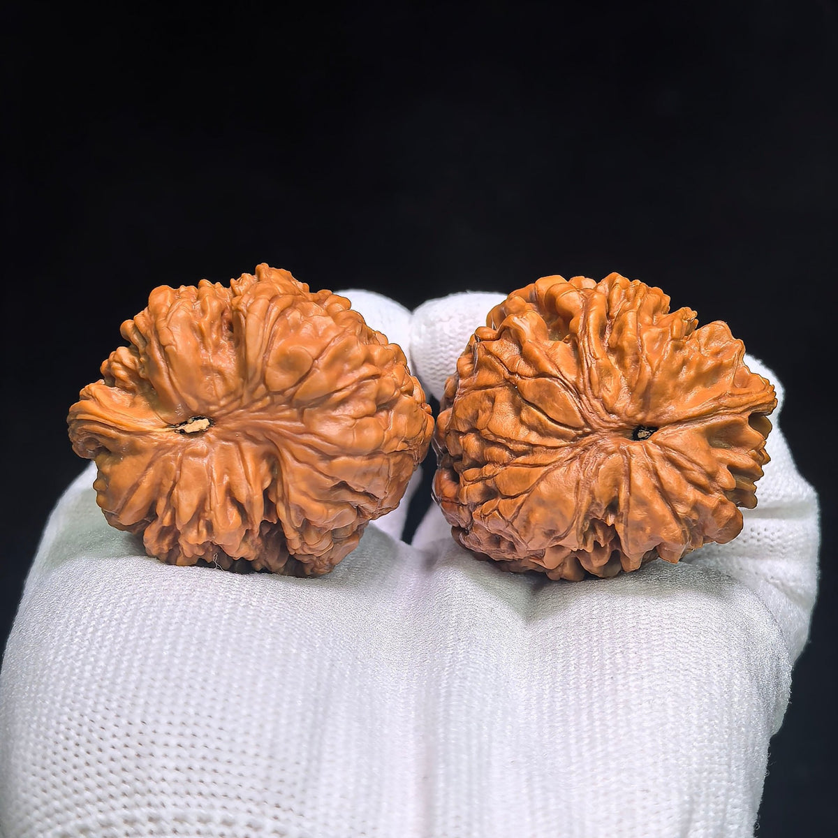 "Eagle on the Mountain Top x Official Seal" Guanguan Zuoshandiao GMZSD-001 Collector Wenwan Walnuts Pair | 40.0mm x 38.0mm | GMZSD-001 - ThePatinaProject
