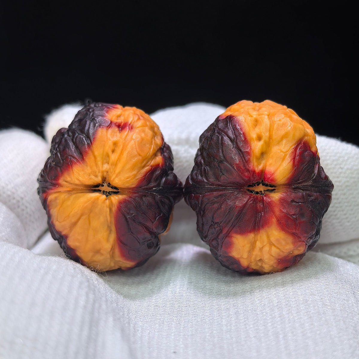 "Earth-Muffled Rainbow Little Flat-Top Toad" (Qi Cai Xiao Ping Tou Chan Di Men) Scholar Walnuts Pair | 25.0mm x 30.0mm | Miniature Pocket Format (Shou Nian) | Stock ID: QCCDM-101SY - ThePatinaProject