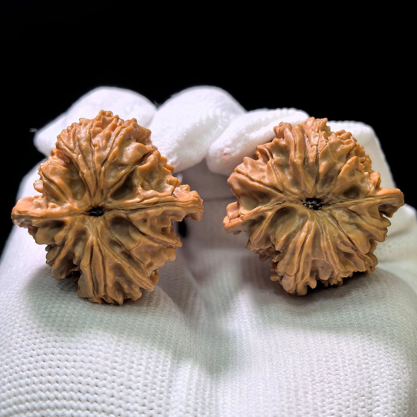 "Eight-Ribbed Skyway" Tongtianba Eight-Ribbed Wenwan Walnuts Pair | 32.0mm x 32.0mm | TTB-1101 - ThePatinaProject