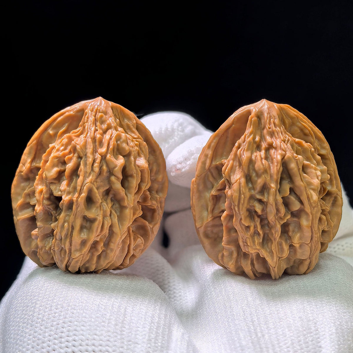 "Eight-Ribbed Skyway" Tongtianba Eight-Ribbed Wenwan Walnuts Pair | 32.0mm x 32.0mm | TTB-1101 - ThePatinaProject