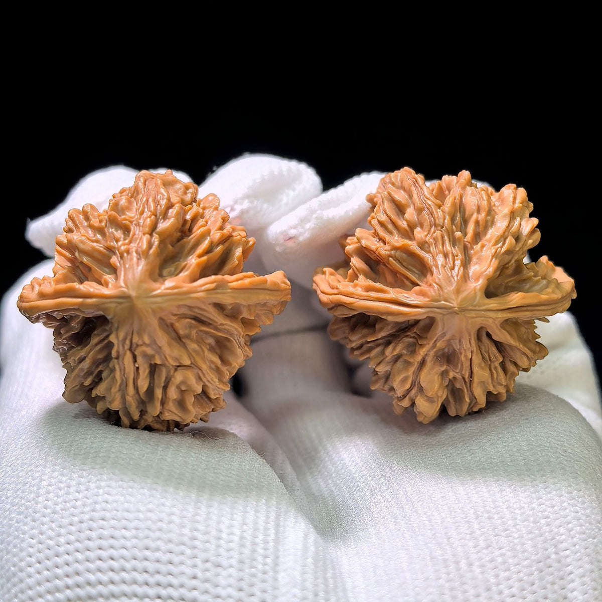 "Eight-Ribbed Skyway" Tongtianba Eight-Ribbed Wenwan Walnuts Pair | 32.0mm x 32.0mm | TTB-1101 - ThePatinaProject