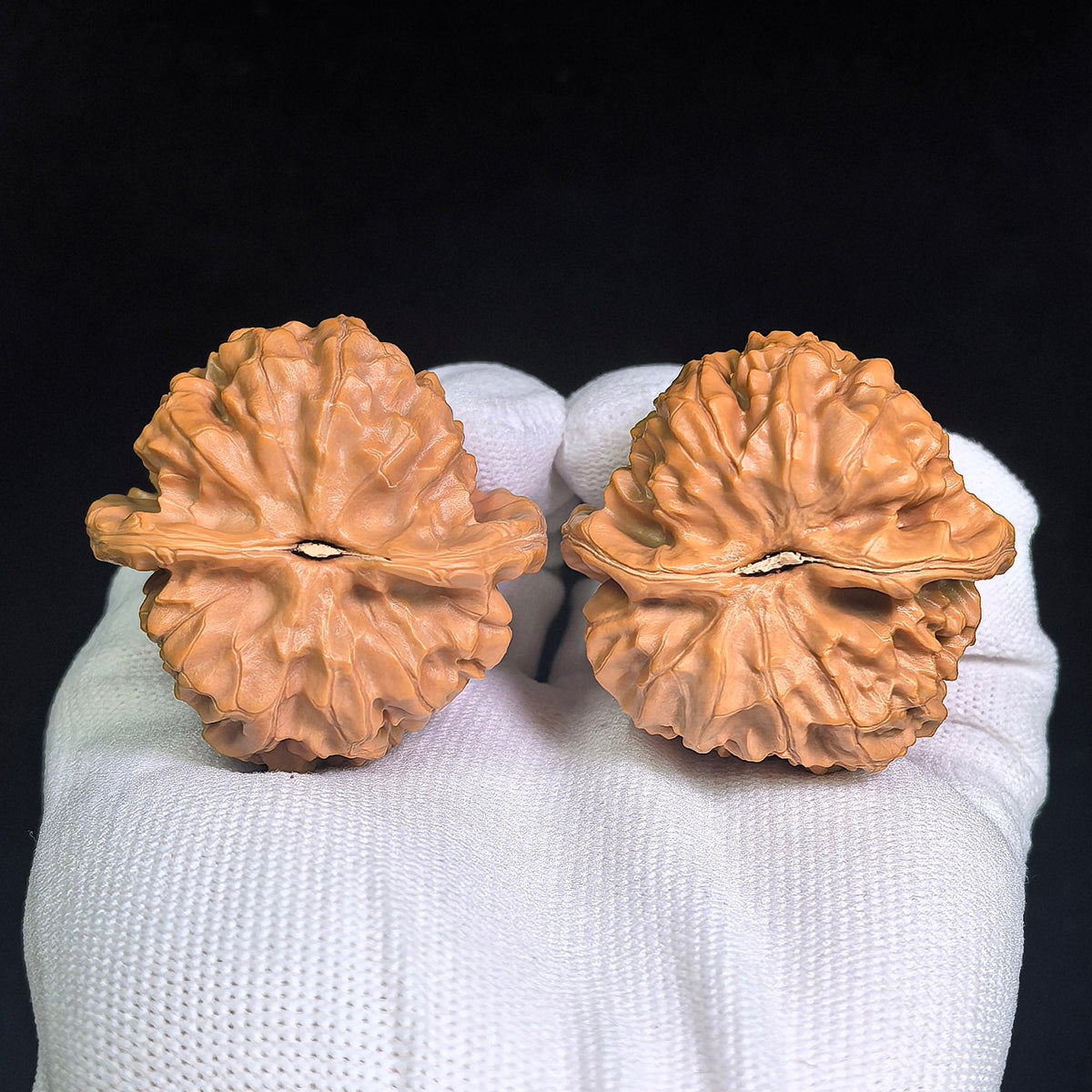 Exquisite "Acacia Harmony" Hehuan Lion Head Masterpiece | Walnut Pair | Flawless Side-by-Side Silhouette Symmetry | HH-702 - ThePatinaProject