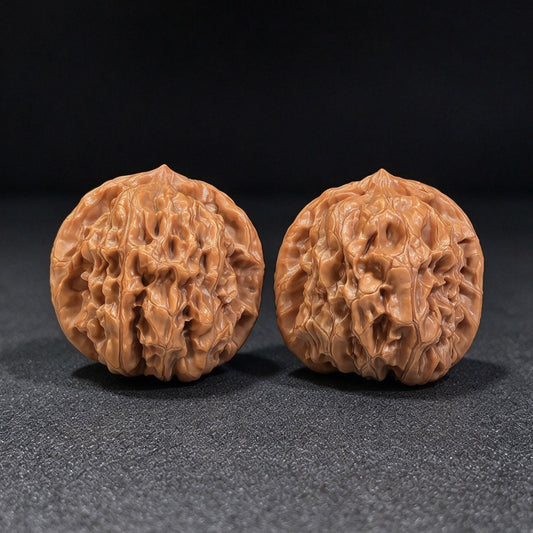 Exquisite "Acacia Harmony" Hehuan Lion Head Masterpiece | Walnut Pair | Flawless Side-by-Side Silhouette Symmetry | HH-702 - ThePatinaProject