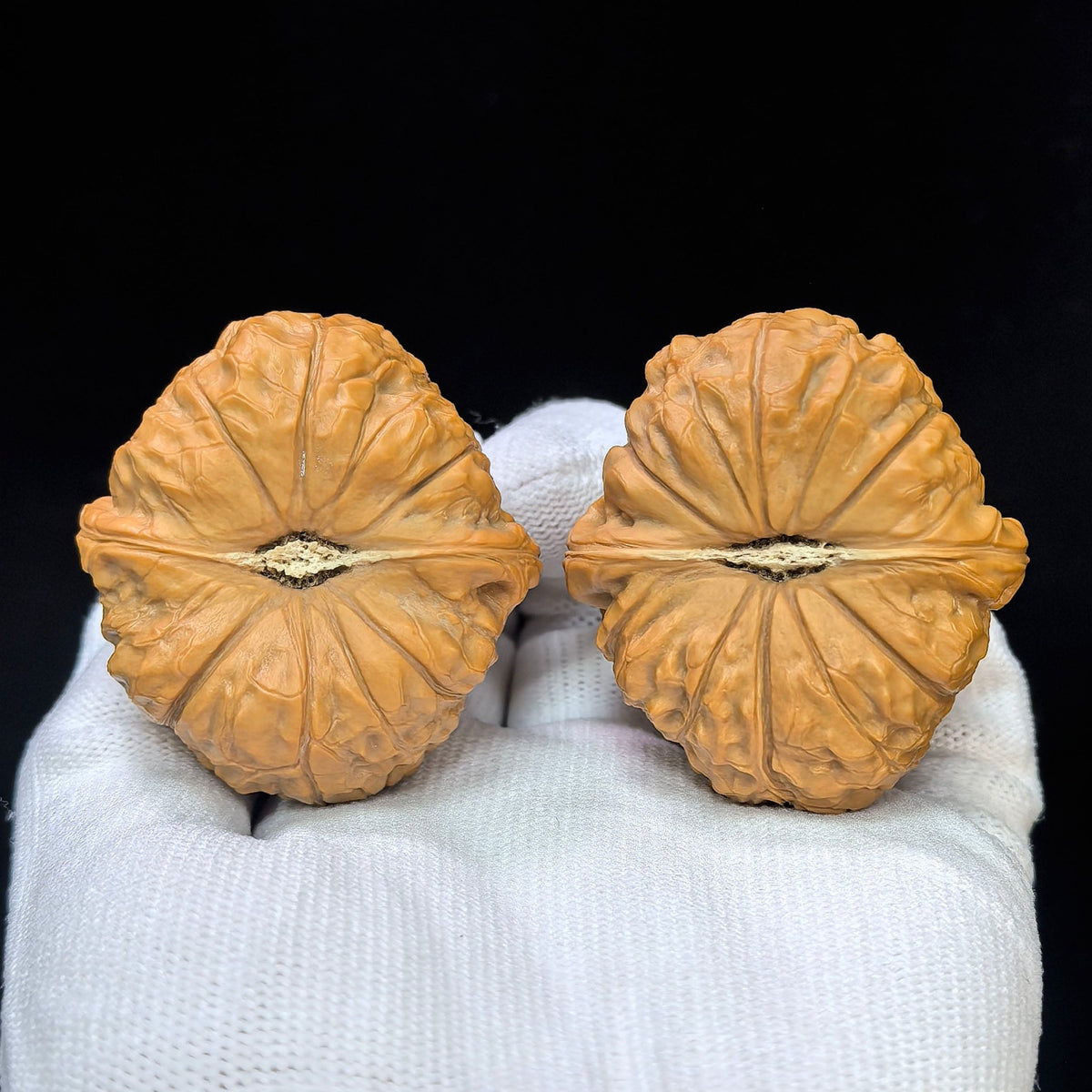 "Flat Pumpkin Dun" Bingxing Nanguadun BJNGD-SY1F4 Low-Profile Wenwan Walnuts Pair | 48.0mm x 44.0mm | BJNGD-SY1F4 - ThePatinaProject