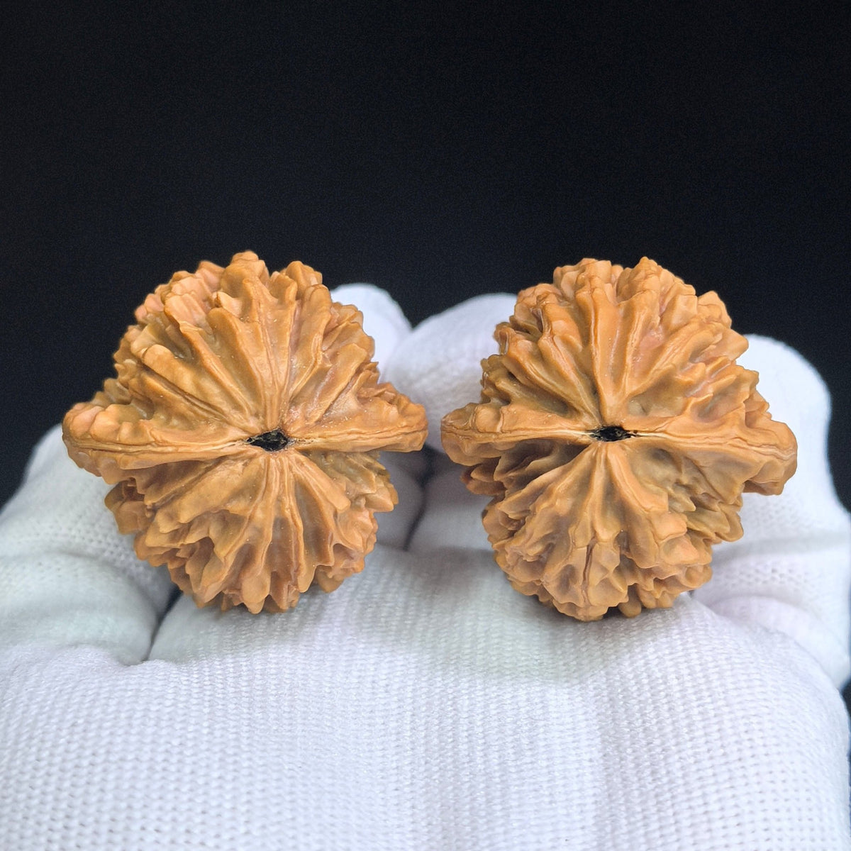 Fortune Mouse Wenwan Walnut Pair – Compact Round Deep-Textured Form | 38.0mm × 38.0mm | ZCS-SY1E8 - ThePatinaProject