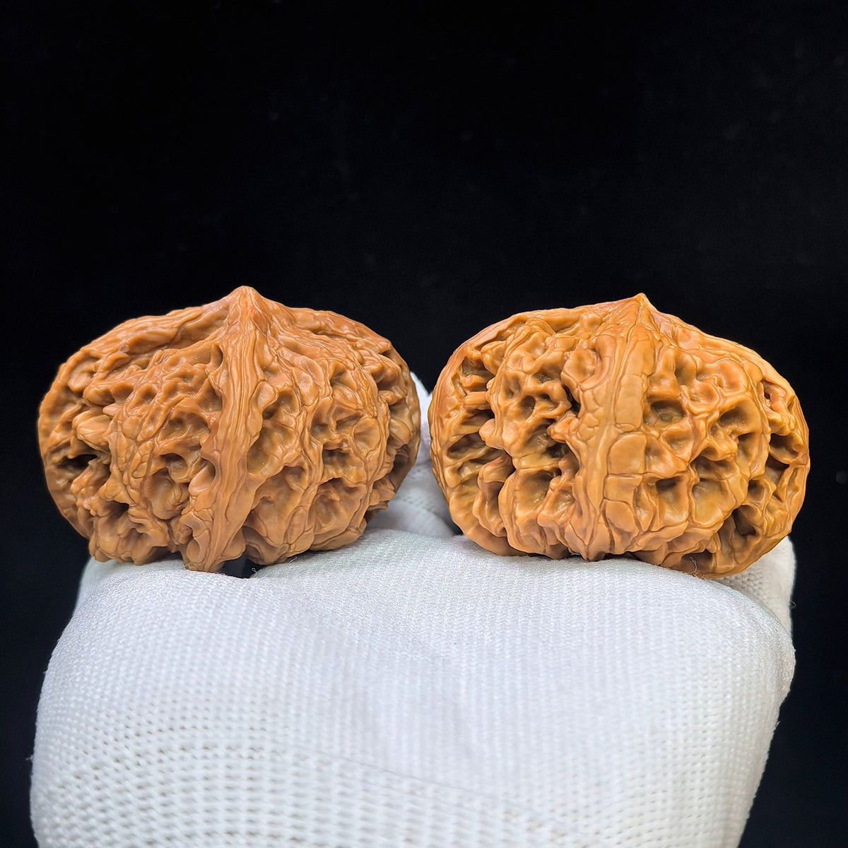 Four-Ribbed "Nine Dragons Sinew" (Jiulongjin Sileng) Scholar Walnuts Pair | 43.0mm x 52.0mm | Massive Deep-Belly Geometry | Collector Grade Masterpiece | Stock ID: JLJ4N-1001E - ThePatinaProject
