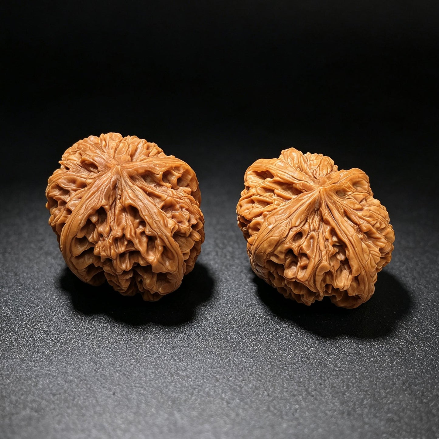 Four-Ribbed "Nine Dragons Sinew" (Jiulongjin Sileng) Scholar Walnuts Pair | 43.0mm x 52.0mm | Massive Deep-Belly Geometry | Collector Grade Masterpiece | Stock ID: JLJ4N-1001E - ThePatinaProject