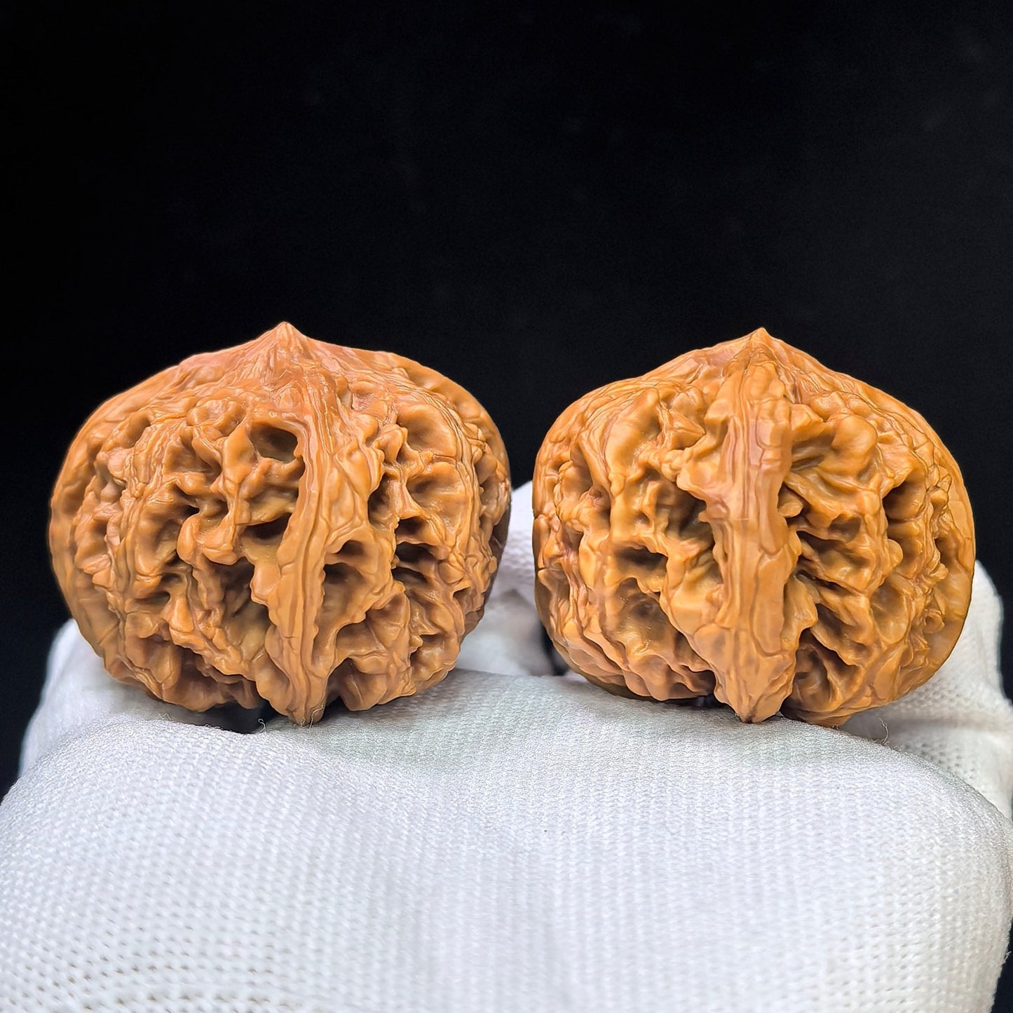 Four-Ribbed "Nine Dragons Sinew" (Jiulongjin Sileng) Scholar Walnuts Pair | 43.0mm x 52.0mm | Massive Deep-Belly Geometry | Collector Grade Masterpiece | Stock ID: JLJ4N-1001E - ThePatinaProject