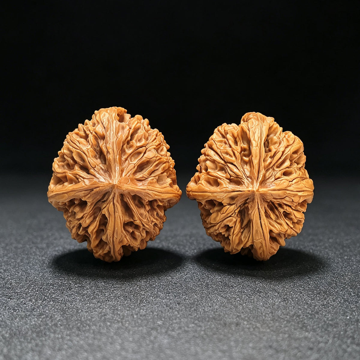 Four-Ribbed "Nine Dragons Sinew" (Jiulongjin Sileng) Scholar Walnuts Pair | 43.0mm x 52.0mm | Massive Deep-Belly Geometry | Collector Grade Masterpiece | Stock ID: JLJ4N-1001E - ThePatinaProject