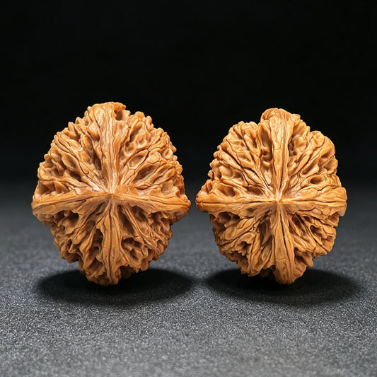 Four-Ribbed "Nine Dragons Sinew" (Jiulongjin Sileng) Scholar Walnuts Pair | 43.0mm x 52.0mm | Massive Deep-Belly Geometry | Collector Grade Masterpiece | Stock ID: JLJ4N-1001E - ThePatinaProject