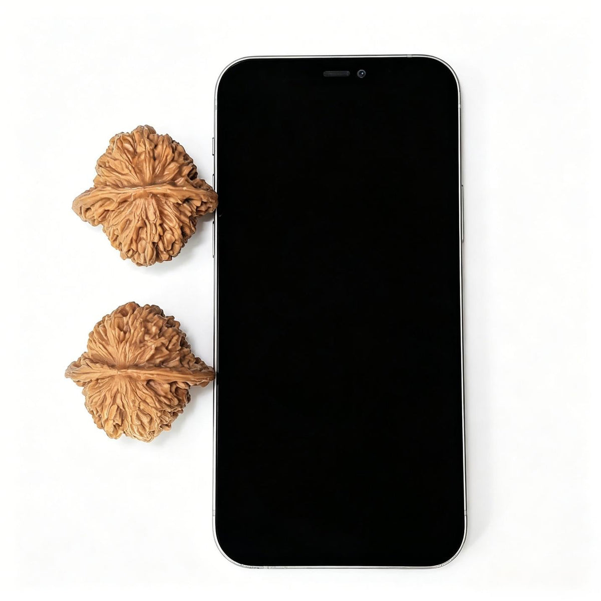 "Four-Tower Pavilion Lionhead" Sizouloutou SZL-1405 Low-Profile Wenwan Walnuts Pair | 41.0mm x 39.0mm | SZL-1405 - ThePatinaProject