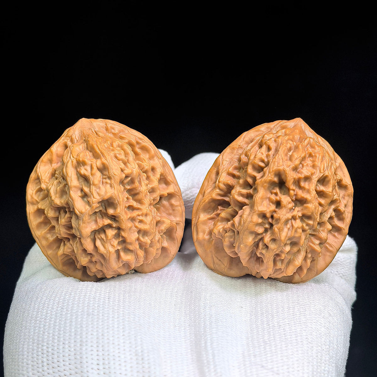 Gecko “Tian Can Jiao” Wenwan Walnut Pair | Rare Flattened Sculptural Form | 44.0mm × 41.0mm | BHTC-C1D2E - ThePatinaProject