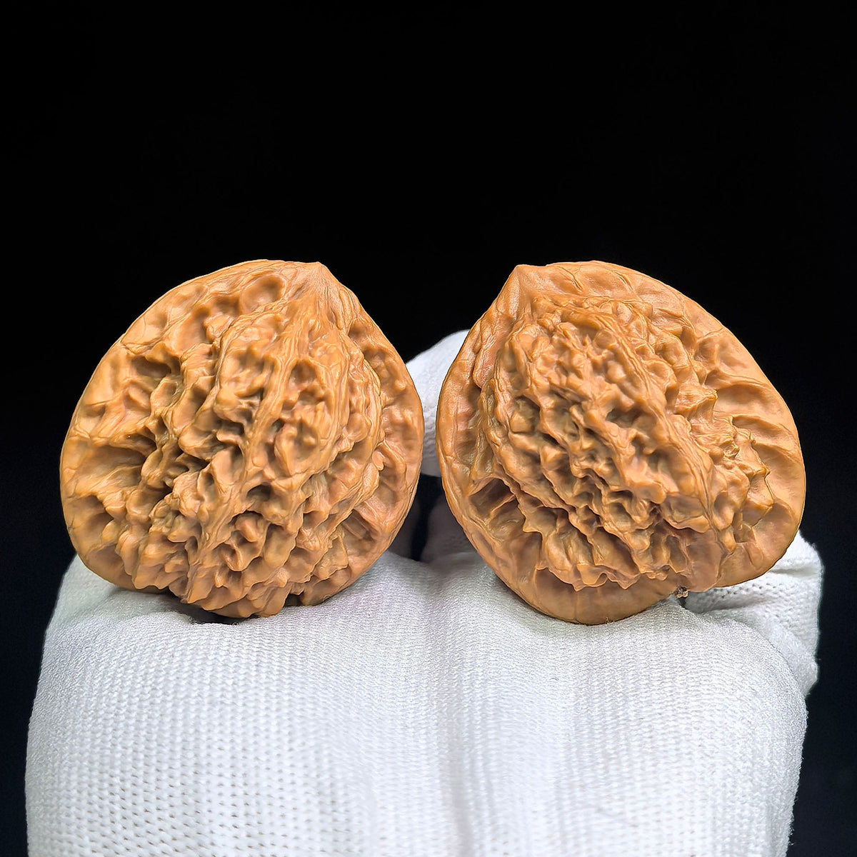 Gecko “Tian Can Jiao” Wenwan Walnut Pair | Rare Flattened Sculptural Form | 44.0mm × 41.0mm | BHTC-C1D2E - ThePatinaProject