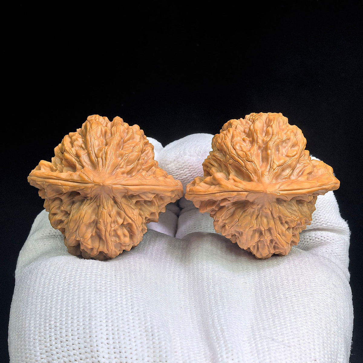 Gecko “Tian Can Jiao” Wenwan Walnut Pair | Rare Flattened Sculptural Form | 44.0mm × 41.0mm | BHTC-C1D2E - ThePatinaProject