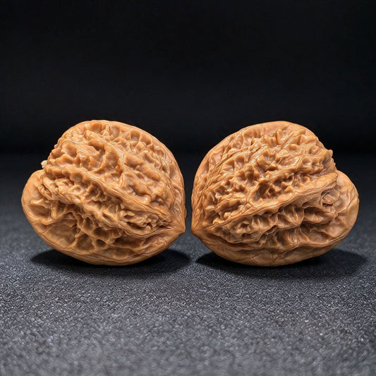 Gecko “Tian Can Jiao” Wenwan Walnut Pair | Rare Flattened Sculptural Form | 44.0mm × 41.0mm | BHTC-C1D2E - ThePatinaProject