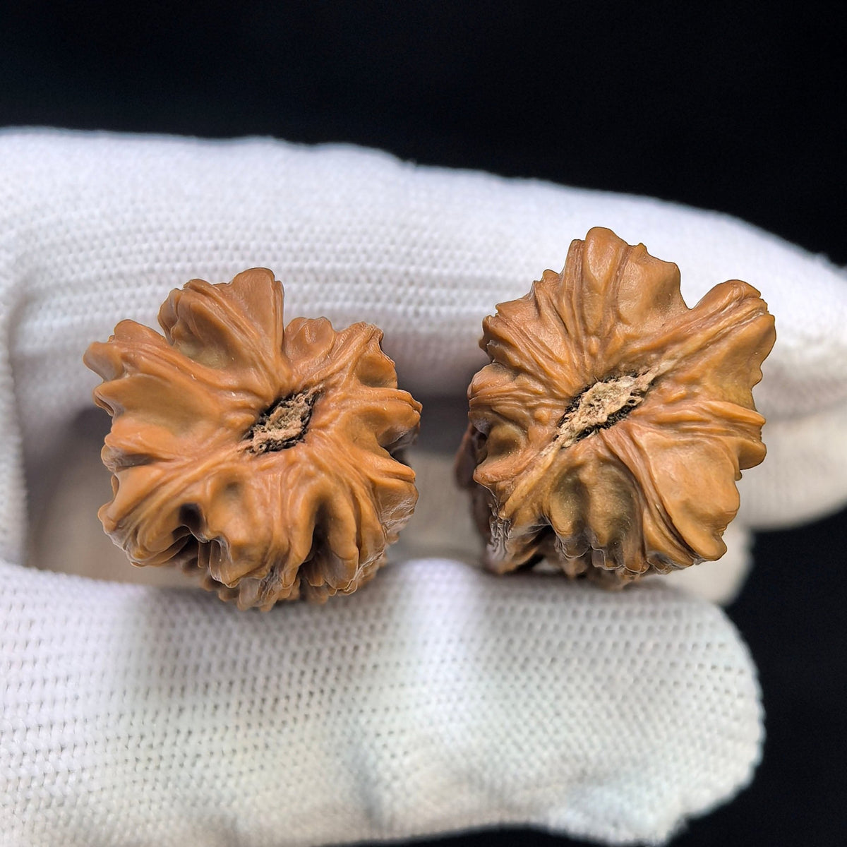 "Gold Bar" Jintiao Pocket Spinner Wenwan Walnuts Pair | 22.0mm x 22.0mm | JT-C239E - ThePatinaProject