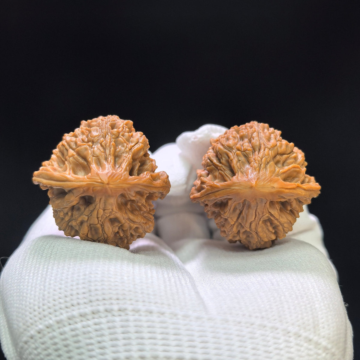 "Golden Kylin" Jinqilin Wenwan Walnuts (Pair) | 34.0mm x 35.0mm | Stock ID: JQL-1402 - ThePatinaProject