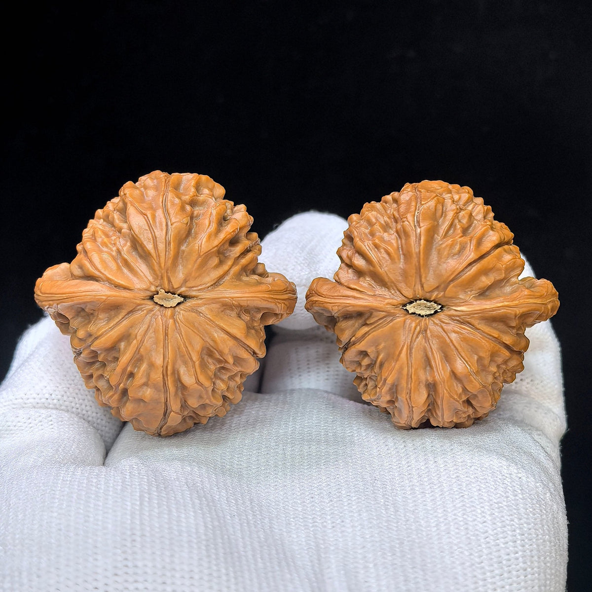 "Golden Qilin" Jin Qilin JQL-SY1F6 Low-Profile Wenwan Walnuts Pair | 42.0mm x 42.0mm | JQL-SY1F6 - ThePatinaProject
