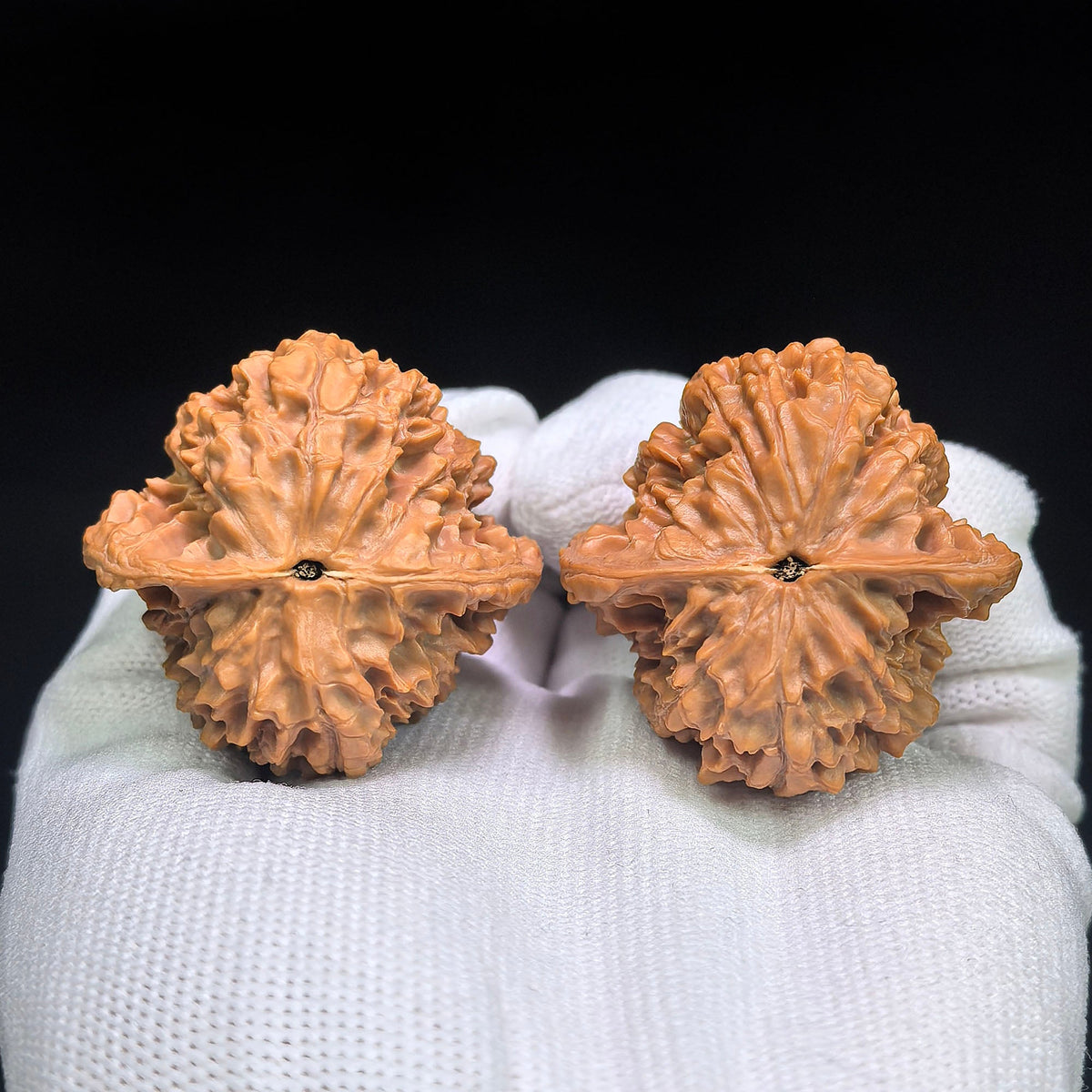 “Golden Qilin” Tian Can Jiao Wenwan Walnut Pair | Sculptural Irregular Form | 41.0mm × 40.0mm | JQL-C1D8E - ThePatinaProject