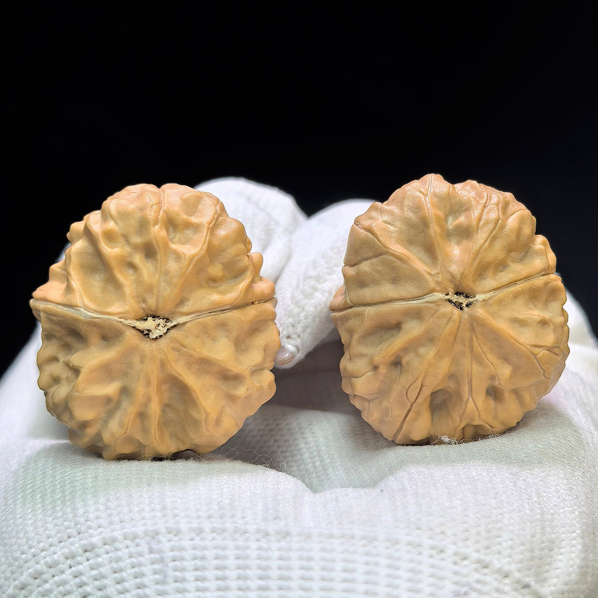 "Golden Toad Vessel" Jinchanzun JCZ-1601 Low-Profile Wenwan Walnuts Pair | 29.0mm x 34.0mm | JCZ-1601 - ThePatinaProject