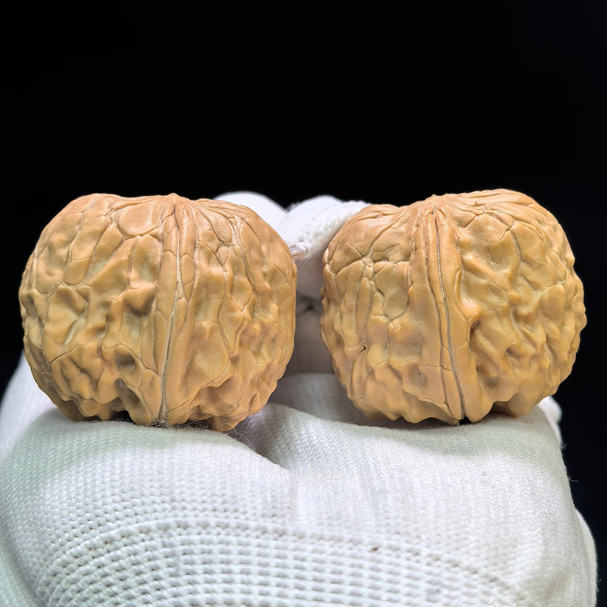 "Golden Toad Vessel" Jinchanzun JCZ-1602 Low-Profile Wenwan Walnuts Pair | 35.0mm x 38.0mm | JCZ-1602 - ThePatinaProject