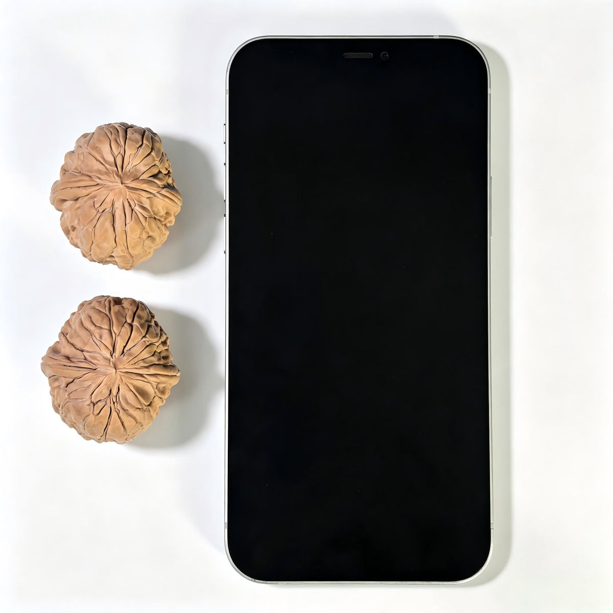 "Golden Toad Vessel" Jinchanzun JCZ-1602 Low-Profile Wenwan Walnuts Pair | 35.0mm x 38.0mm | JCZ-1602 - ThePatinaProject