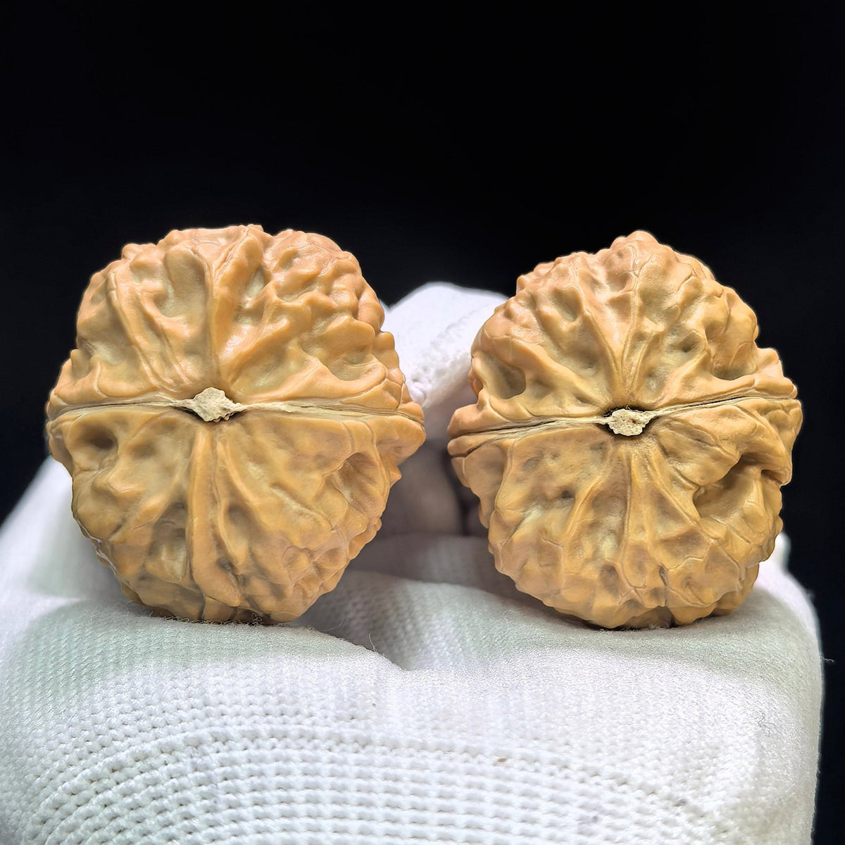 "Golden Toad Vessel" Jinchanzun JCZ-1602 Low-Profile Wenwan Walnuts Pair | 35.0mm x 38.0mm | JCZ-1602 - ThePatinaProject
