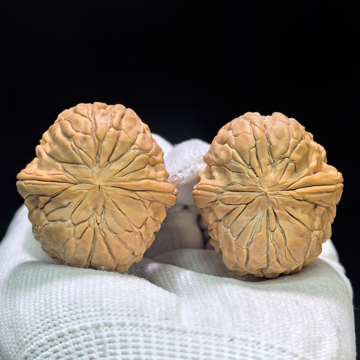 "Golden Toad Vessel" Jinchanzun JCZ-1602 Low-Profile Wenwan Walnuts Pair | 35.0mm x 38.0mm | JCZ-1602 - ThePatinaProject