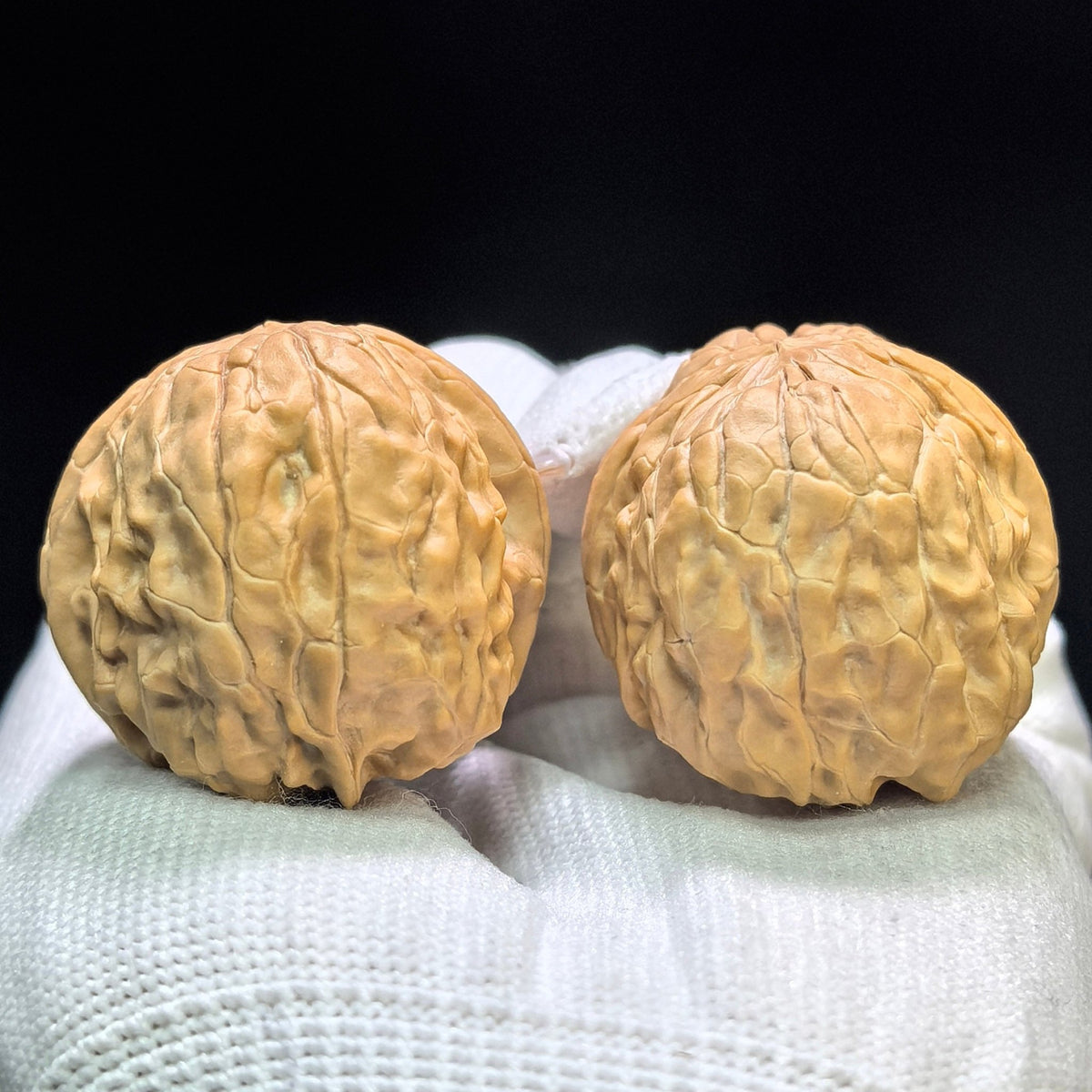 "Golden Toad Vessel" Jinchanzun JCZ-1602 Low-Profile Wenwan Walnuts Pair | 35.0mm x 38.0mm | JCZ-1602 - ThePatinaProject