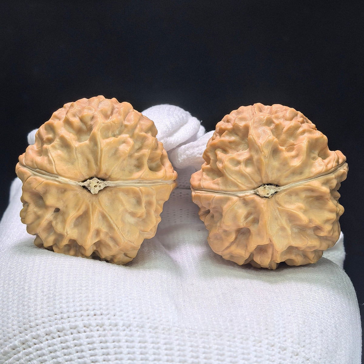 "Golden Toad Vessel" Jinchanzun Wenwan Walnuts Pair | 35.0mm x 38.0mm | JCZ-1401 - ThePatinaProject