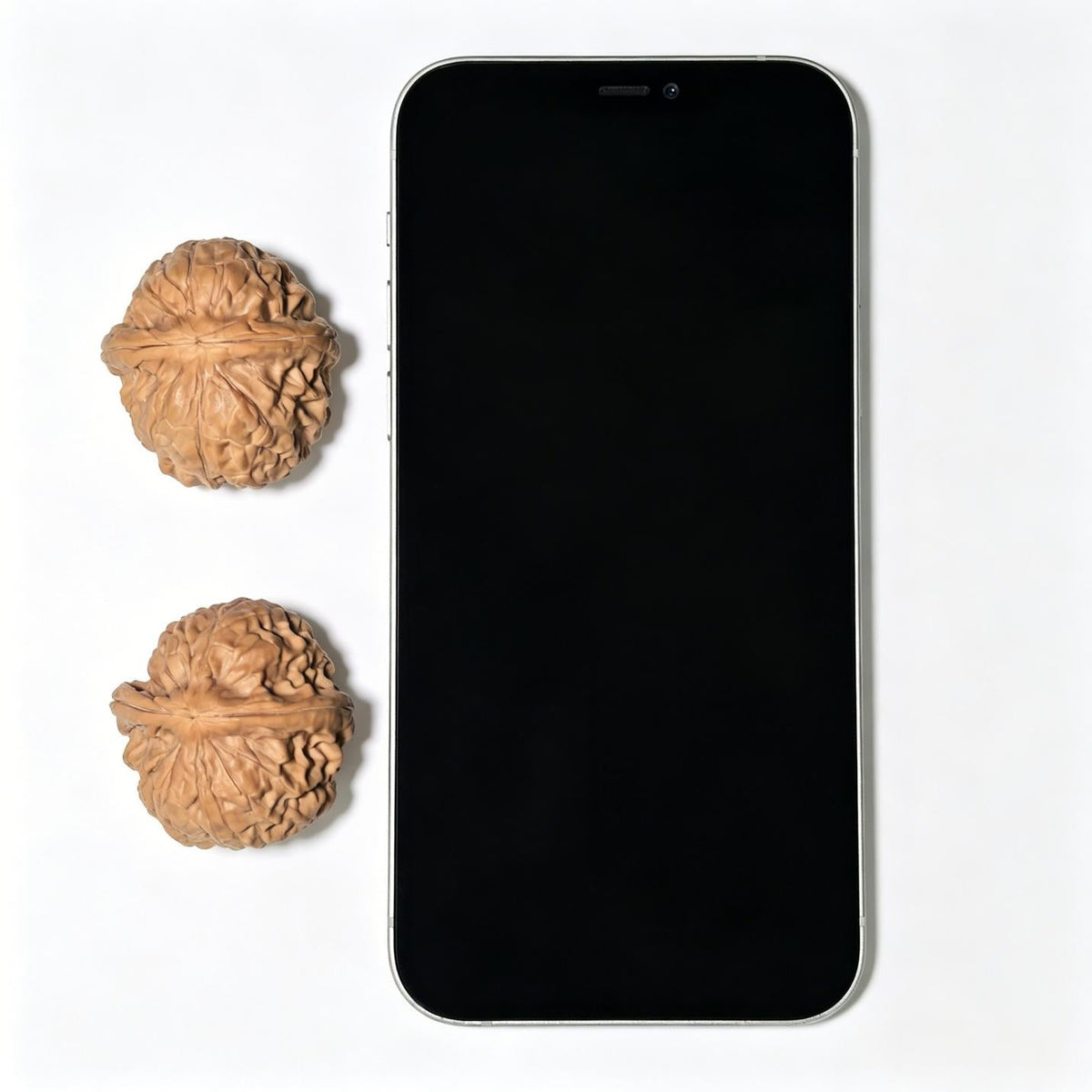 "Golden Toad Vessel" Jinchanzun Wenwan Walnuts Pair | 35.0mm x 38.0mm | JCZ-1401 - ThePatinaProject