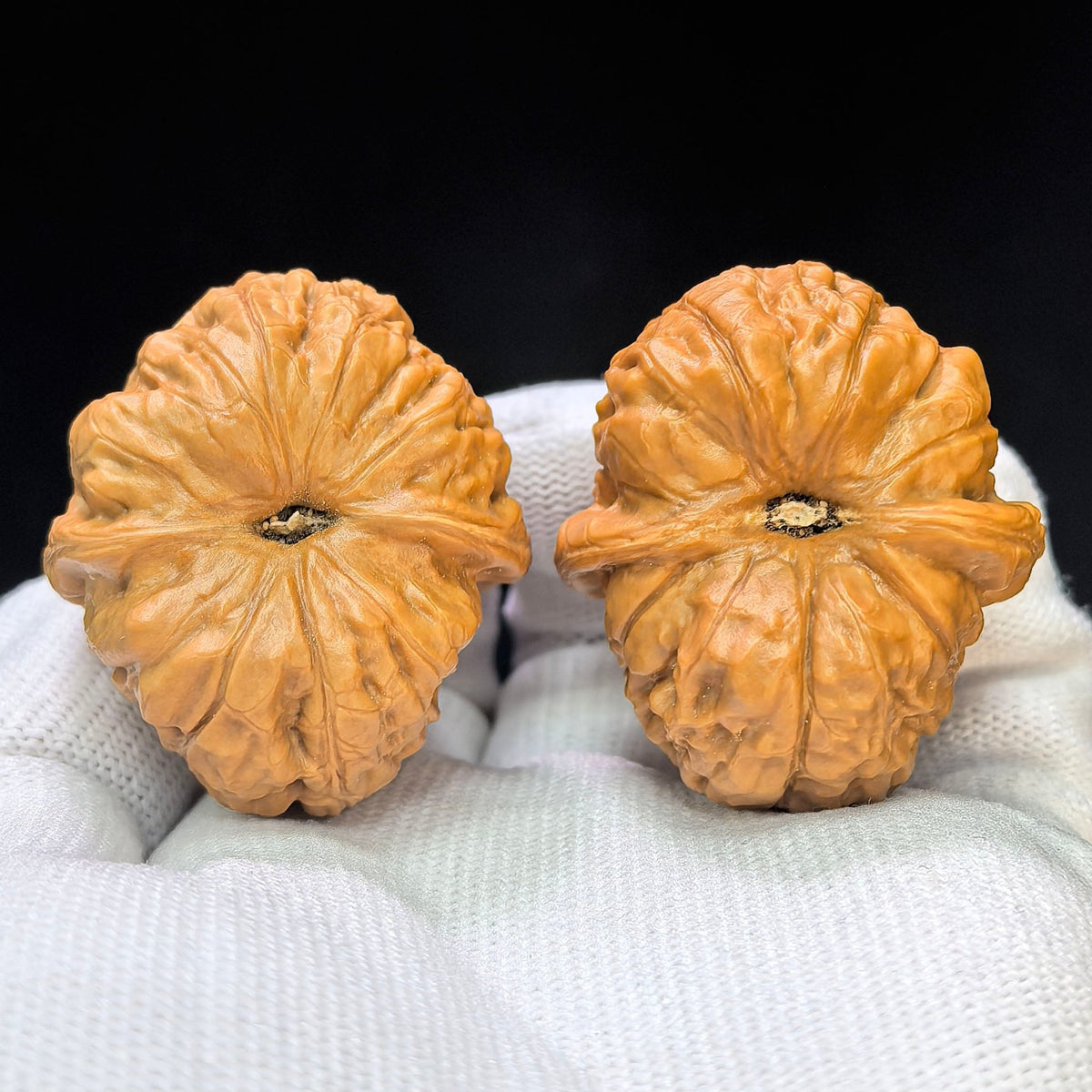 “Gongqiao” Concave-Base Mini Pumpkin Wenwan Walnut Pair | 36.0mm × 41.0mm | BDXNG-17H6 - ThePatinaProject