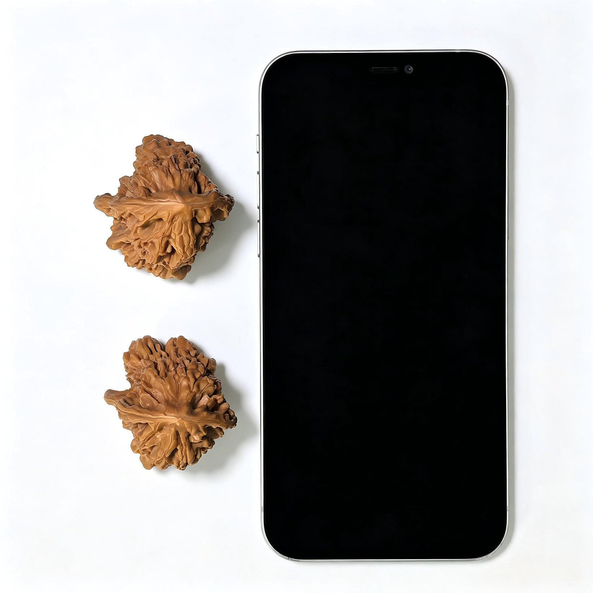 Gourd of Fortune and Prosperity" (Fulu Hulu) Scholar Walnuts Pair | 38.0mm x 39.0mm | Elite Biomorphic Silhouette | Singularities Grade Masterpiece | Stock ID: FLHL-02 - ThePatinaProject