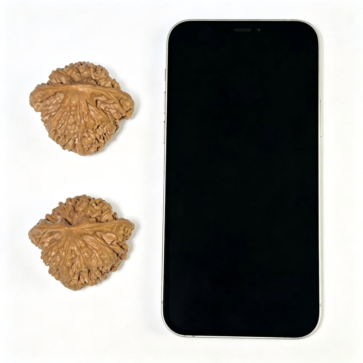"Grand Official Hat" Da Guan Mao Wenwan Walnuts (Pair) | 46.0mm x 42.0mm | Stock ID: DGM-1103 - ThePatinaProject