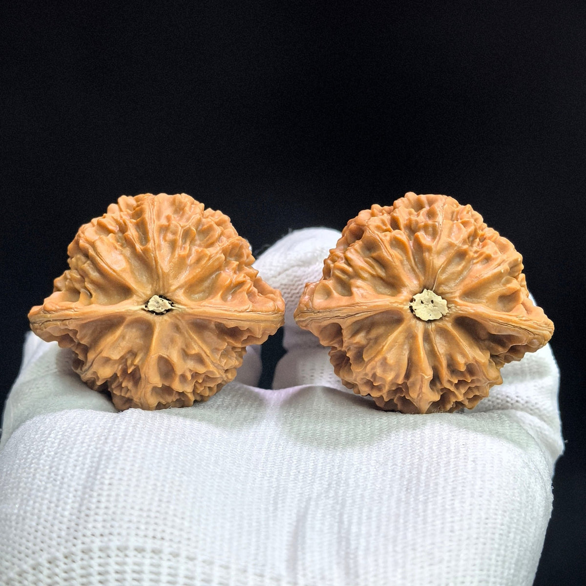 Grand Palace Lantern Wenwan Walnut Pair — 44.0mm x 40.0mm | DGD-17B9C - ThePatinaProject